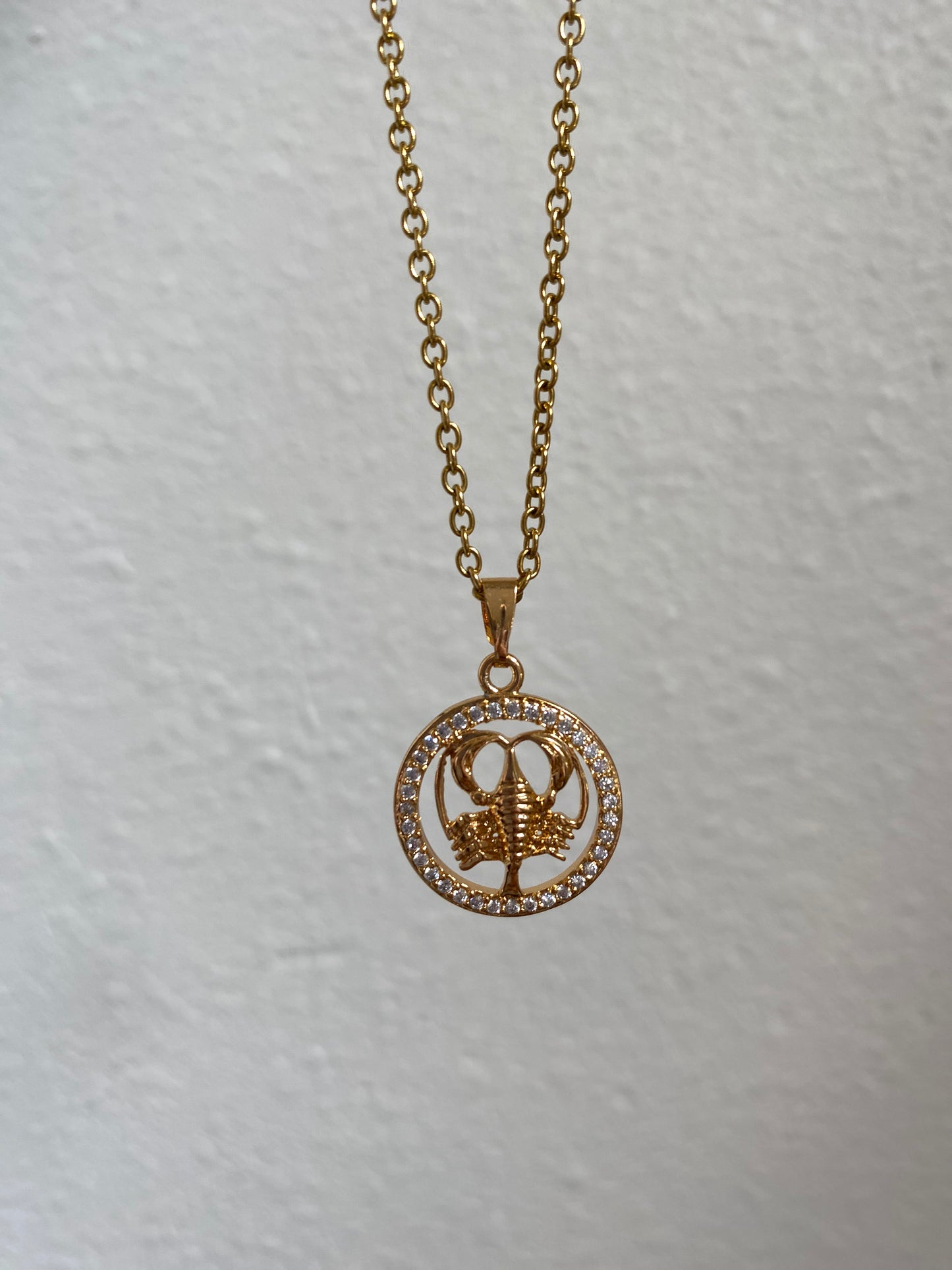 Zodiac sign medal