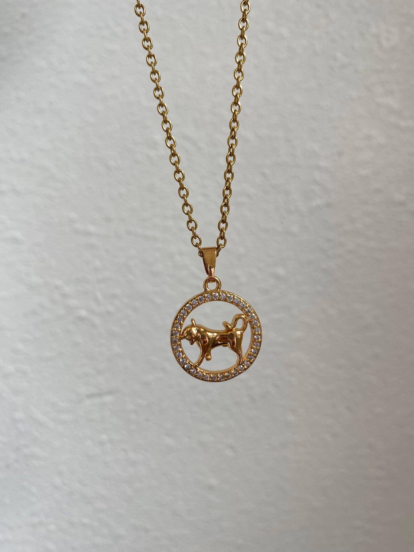 Zodiac sign medal